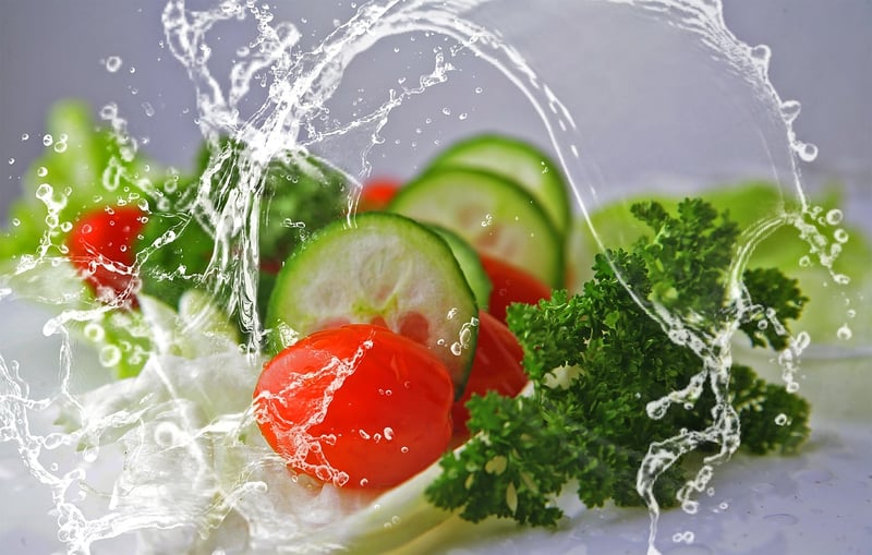 Plant-Based Diet
